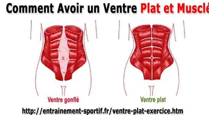 Capteurs de graisse : leur fonctionnement