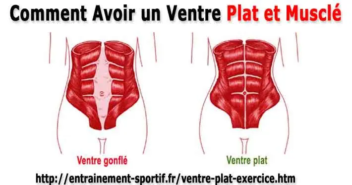 Capteurs de graisse : leur fonctionnement