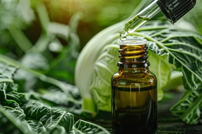 Fenouil : une exploration des vertus des huiles essentielles pour le bien-être et l’harmonie de votre quotidien