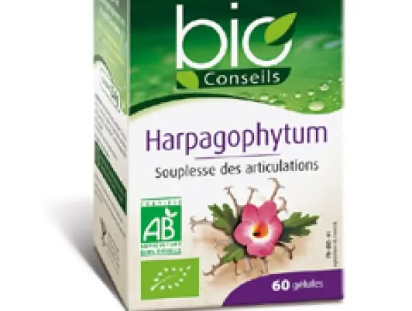Harpagophytum : on vous donne une définition