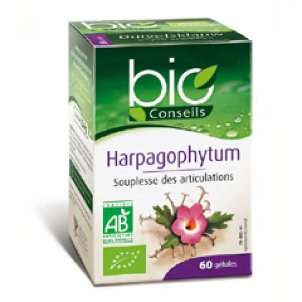 Harpagophytum : on vous donne une définition