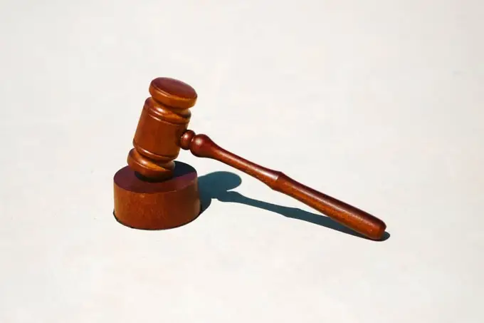 La collaboration entre avocats et traducteurs au sein d’une agence juridique