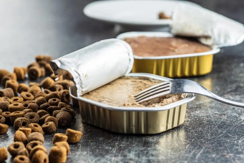 Les différences entre croquettes vétérinaires et croquettes classiques pour chien