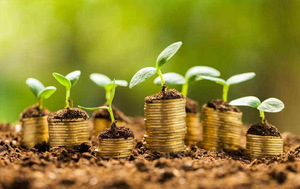 Les dons : parfaits, pour défiscaliser ?