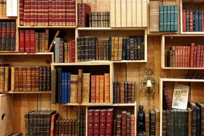 Les merveilles cachées des bibliothèques historiques de France