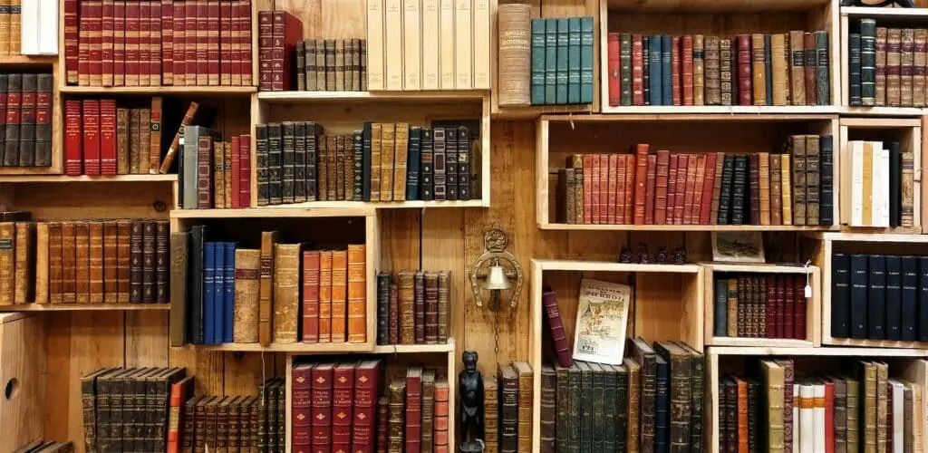 Les merveilles cachées des bibliothèques historiques de France