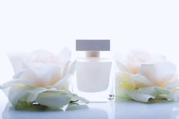 Les témoignages des femmes sur leur expérience avec le parfum Narciso