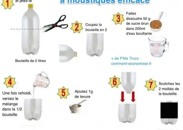 Piège à moustique : les meilleures méthodes pour lutter contre la vermine