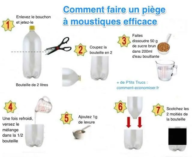 Piège à moustique : les meilleures méthodes pour lutter contre la vermine